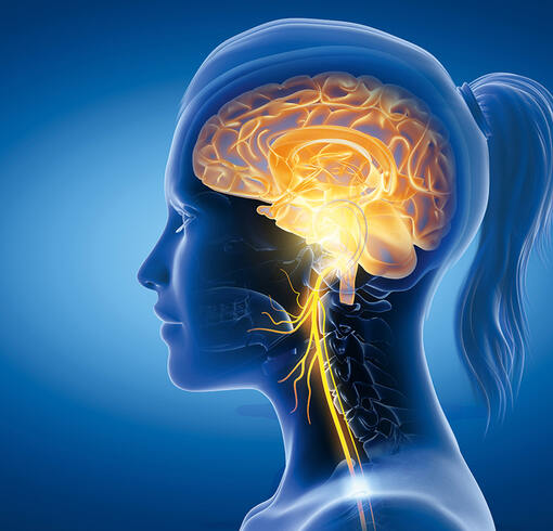 Neurologie/Neuropsychologie